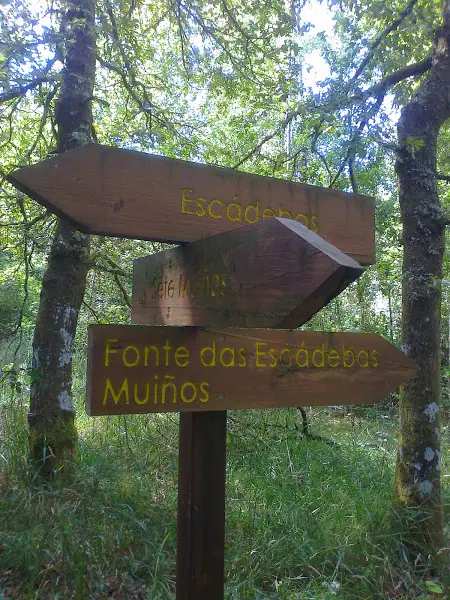 Sendas y rutas en las comarcas de Lugo y Terra Chá