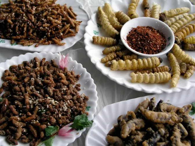 Cuál será el alimento del futuro???