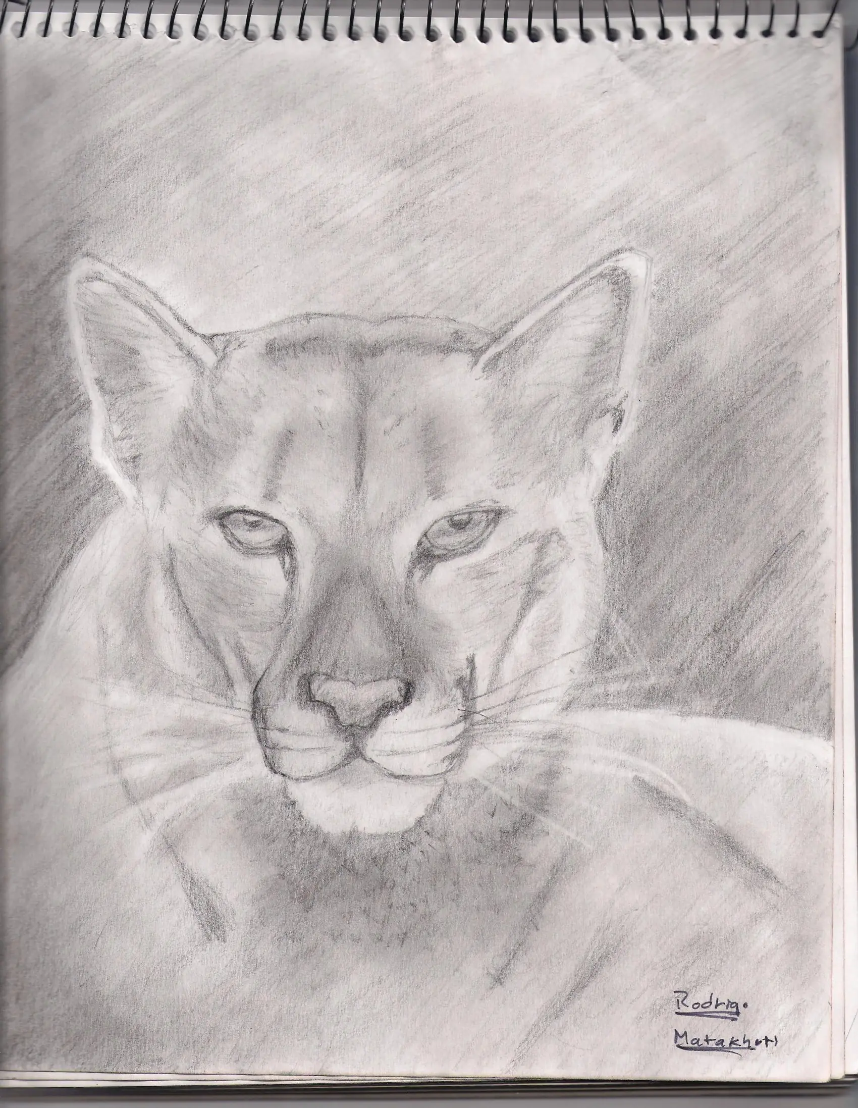 Todos mis dibujos...