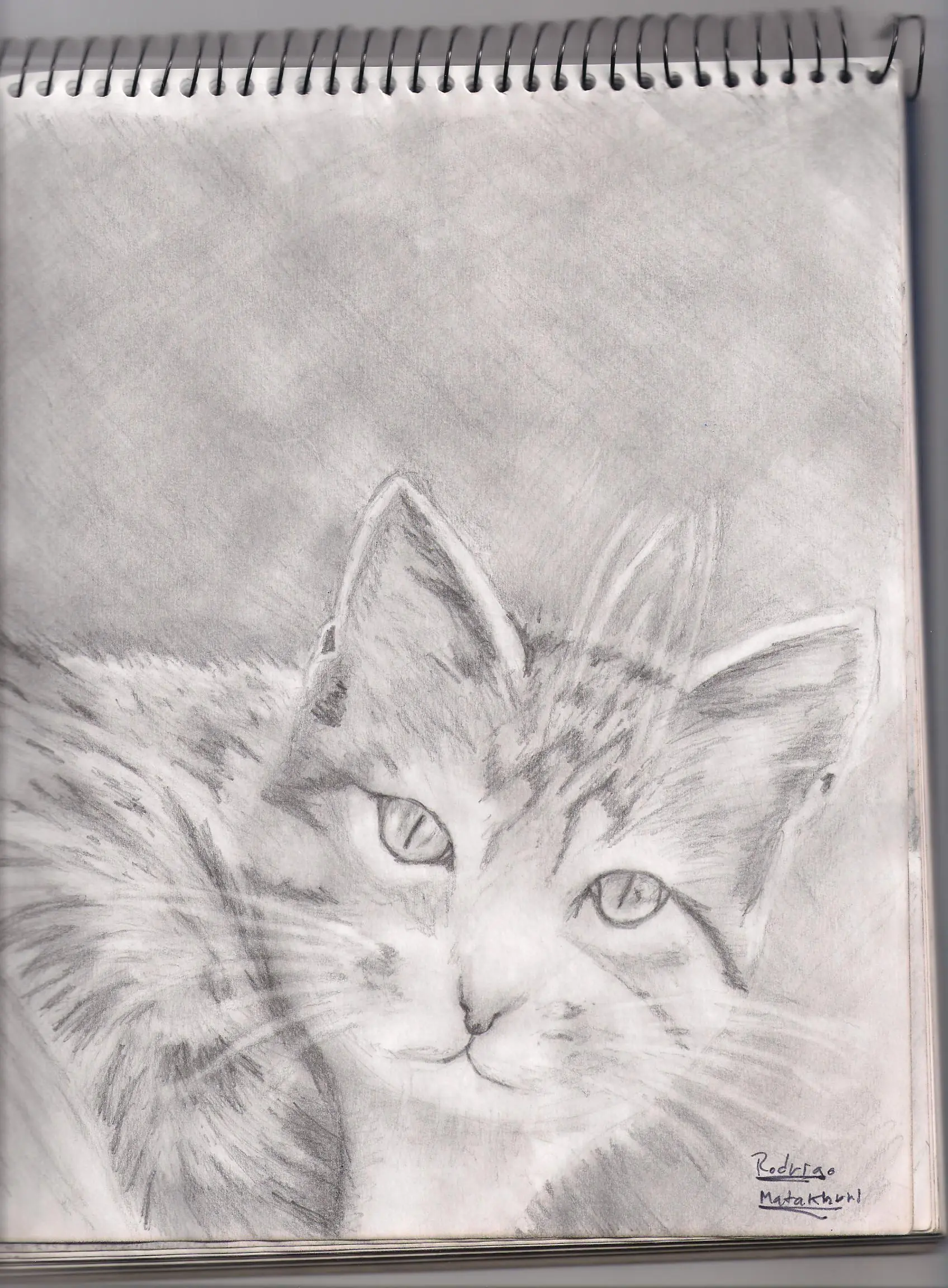 dibujos