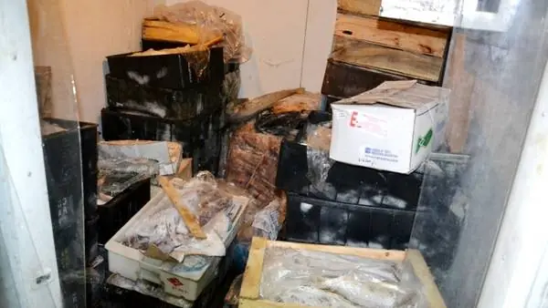 1500 kilos de pescado podrido en Once