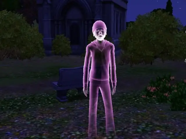 sims