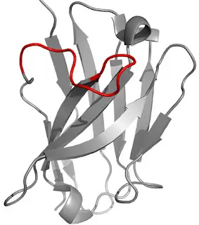 Diseñan anticuerpos contra la Enfermedad de Alzheimer!!