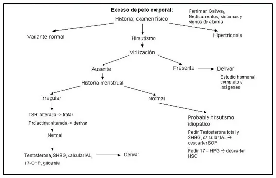 El efecto paradójico y la menta