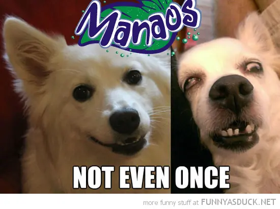 Manaos: Not Even Once (Antes y después)