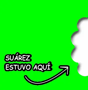 mordida