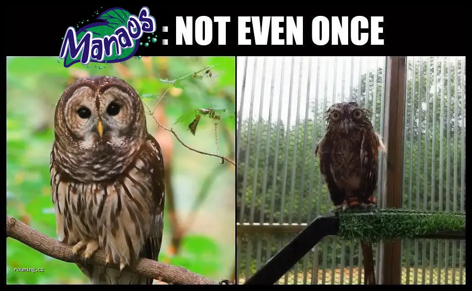 not