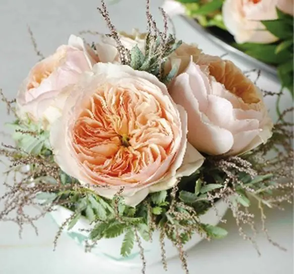flores