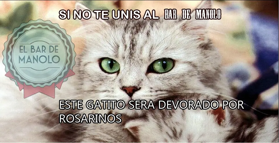 fotos de humor