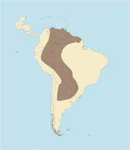 guazuncho