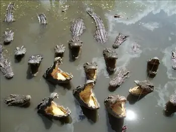 Segunda Guerra Mundial