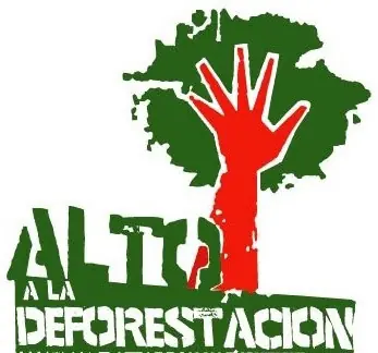 forestacion