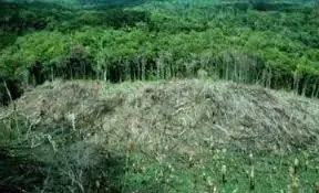 Biodiversidad