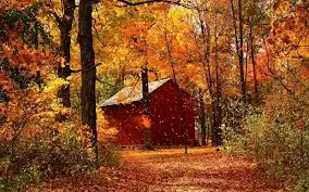 bosques