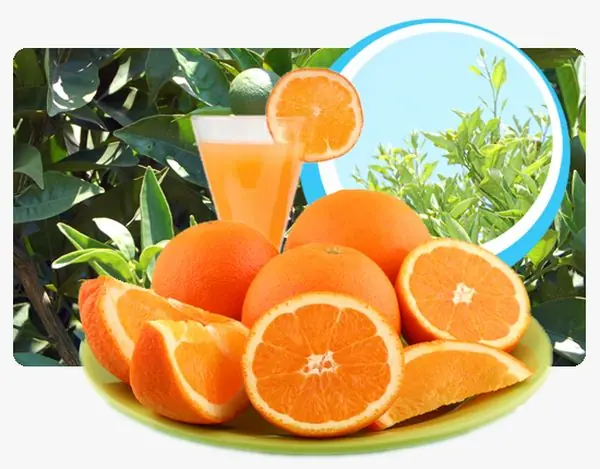 frutas