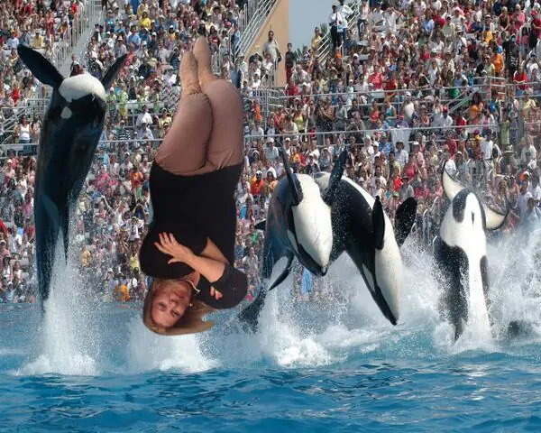 lilita carrio