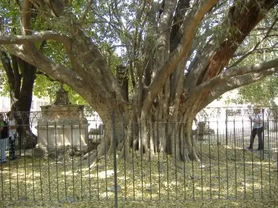 cementerio