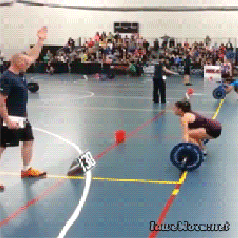 Gifs