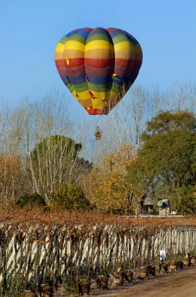 La ruta del vino (Mendoza)