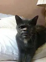 jajajaja