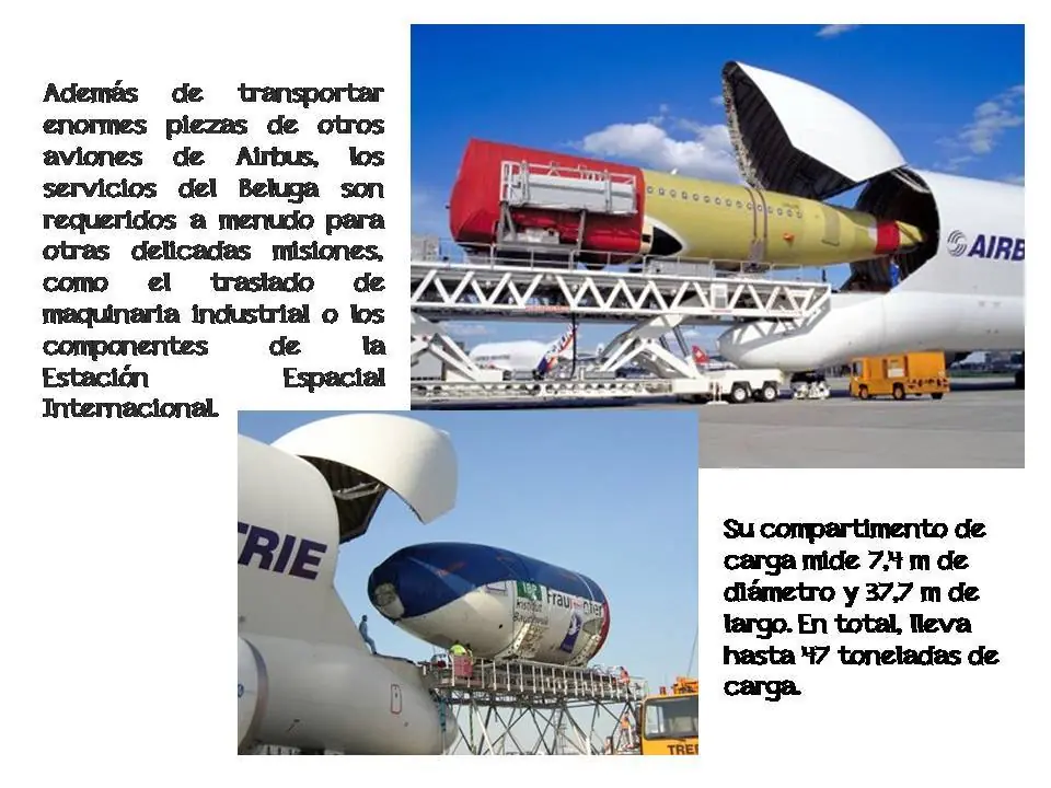 vuelo