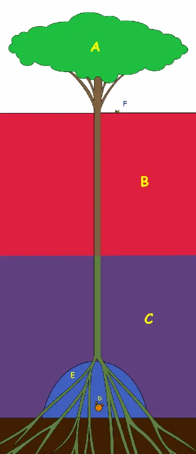 teoria
