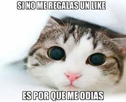 imagenes para facebook