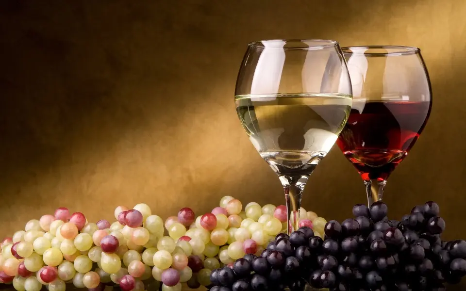 ruta del vino