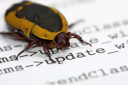 Que es un bug?