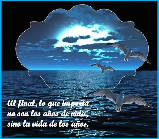 frases