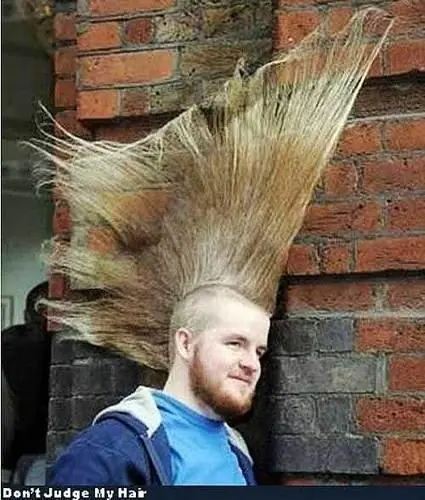 fotos