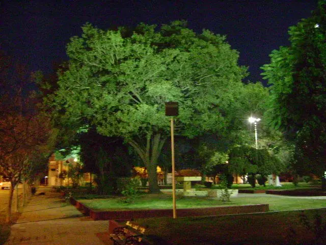 santo domingo de guzman