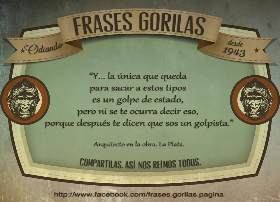 Humor:frases gorilas