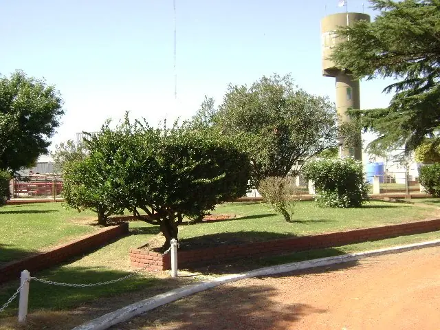 santo domingo de guzman