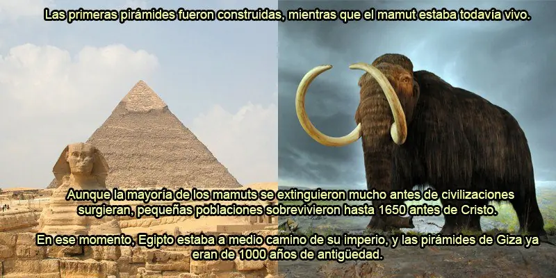 Curiosidades de la ciencia que te van a dejar loco