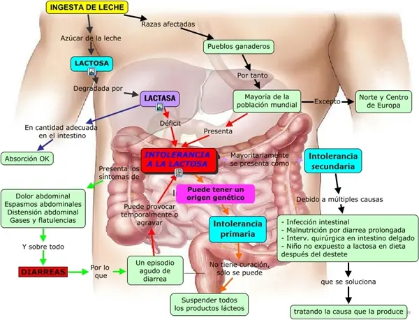 Carne Liquida - alimento sano o perjudical
