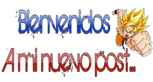 Potaras De Dragon Ball Z Budokai Tenkaichi 3 Ps2