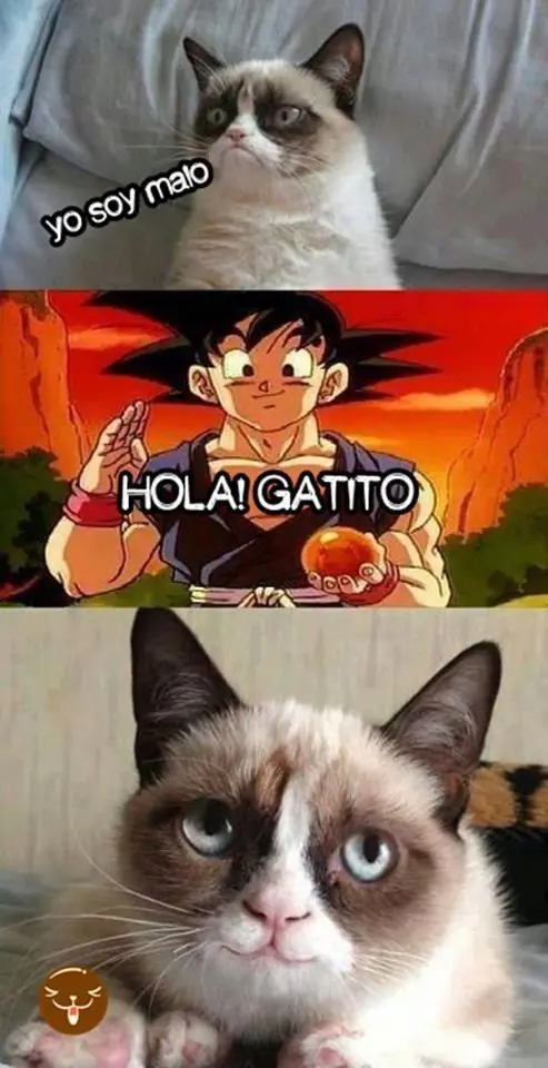 dale