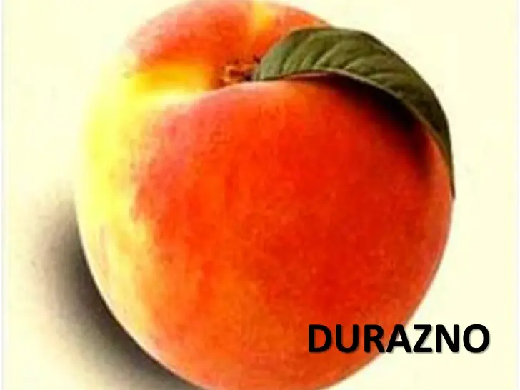 Las frutas como alimentos nutritivos (JD)