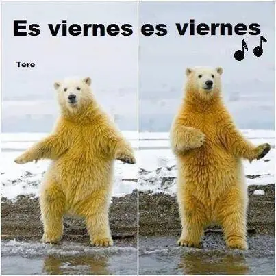 reite
