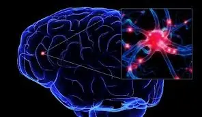 output