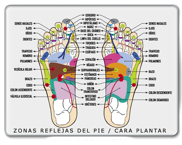 reflexologia