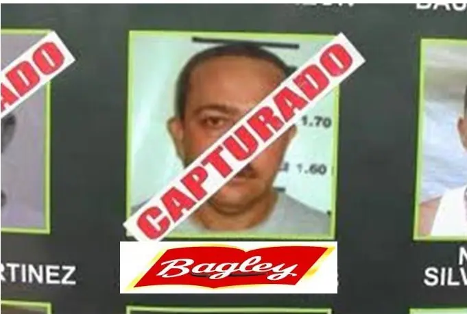 Bagley mató a Rhodesia y Terrabusi facturó