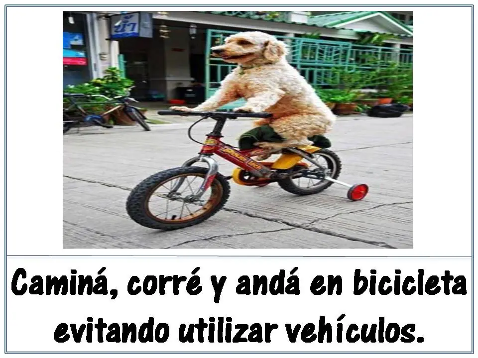 ecologia