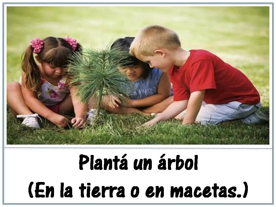 medio ambiente