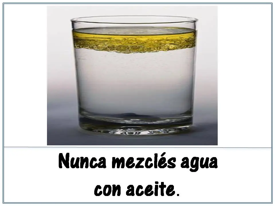 ecologia