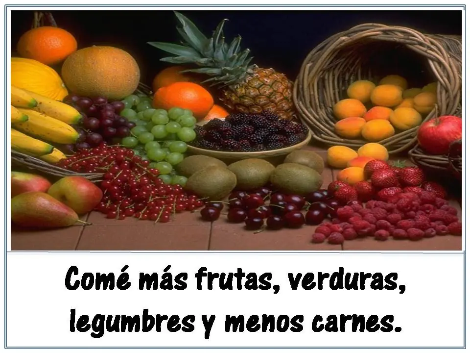 medio ambiente