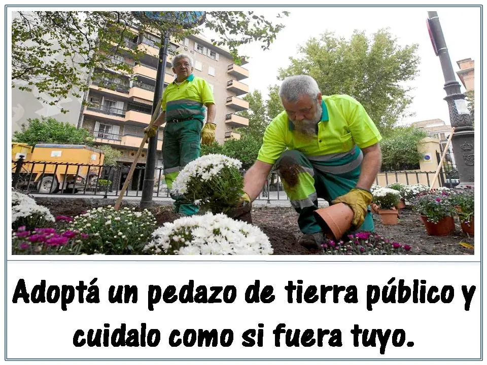 tips