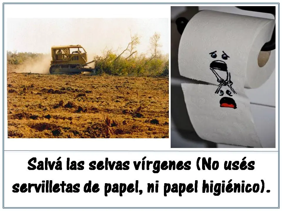 medio ambiente