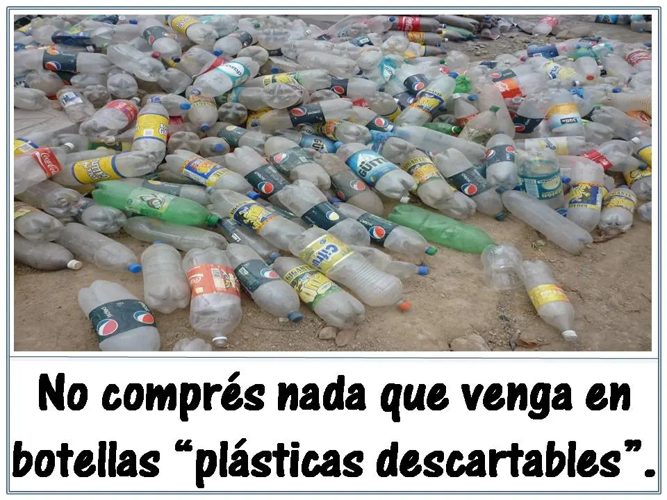 ecologia